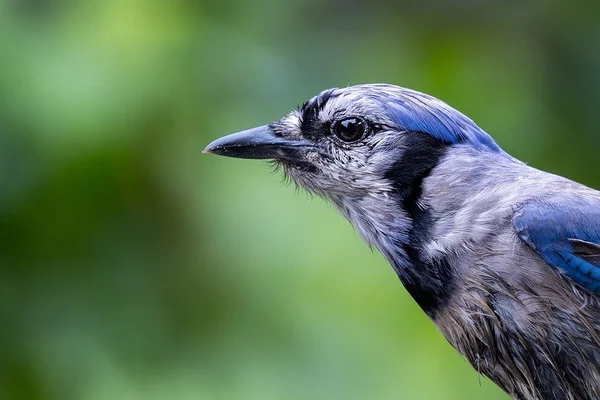 c7娱乐真人娱乐